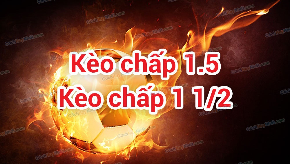 Kèo 1 1/2: Tìm hiểu về hình thức tham gia và cách đọc hiệu quả