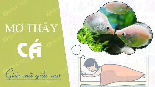 Mơ thấy cá: Điềm báo, ý nghĩa và con số liên quan