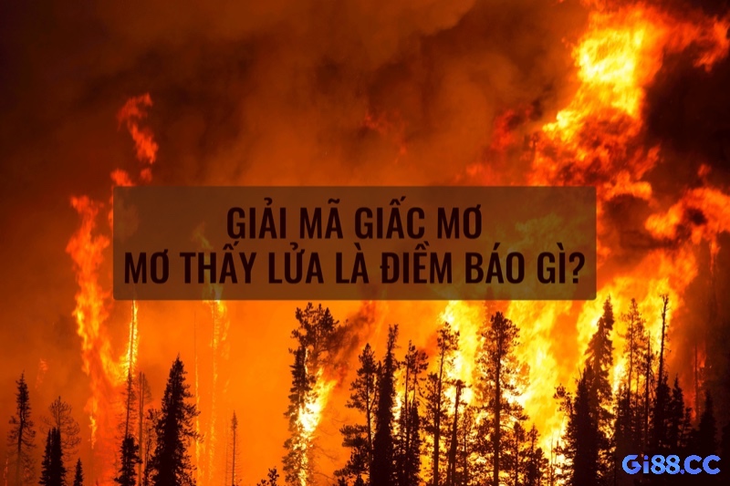 Cùng Gi88.cc tìm hiểu chi tiết về mơ thấy cháy rừng nhé