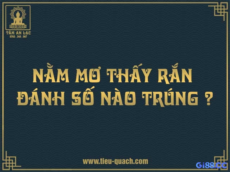 Mơ thấy rắn và các con số may mắn liên quan đến giấc mơ