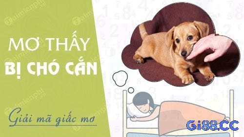 Giải mã giấc chiêm bao nằm ngủ mơ thấy chó cắn tay đánh đề con gì may mắn