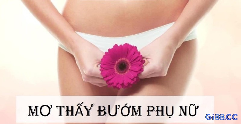 Mơ thấy bướm phụ nữ với màu sắc tươi sáng cho thấy tình yêu đang gõ cửa trái tim bạn