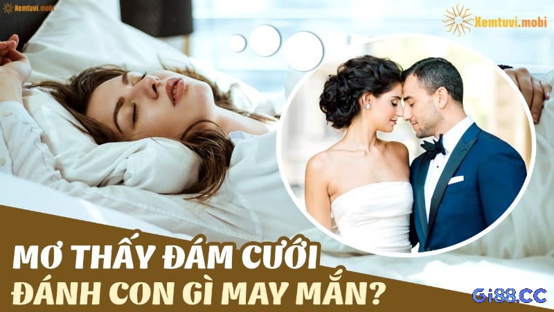 Mơ thấy đám cưới đánh con lô gì?