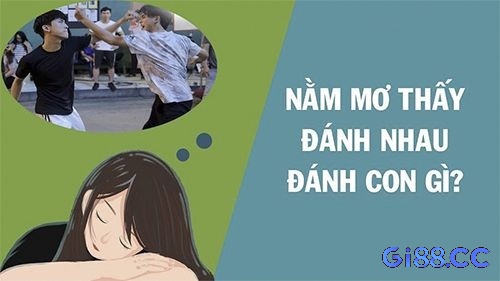 Khám phá con đề thú vị liên quan đến giấc mơ về đánh lộn nhé!